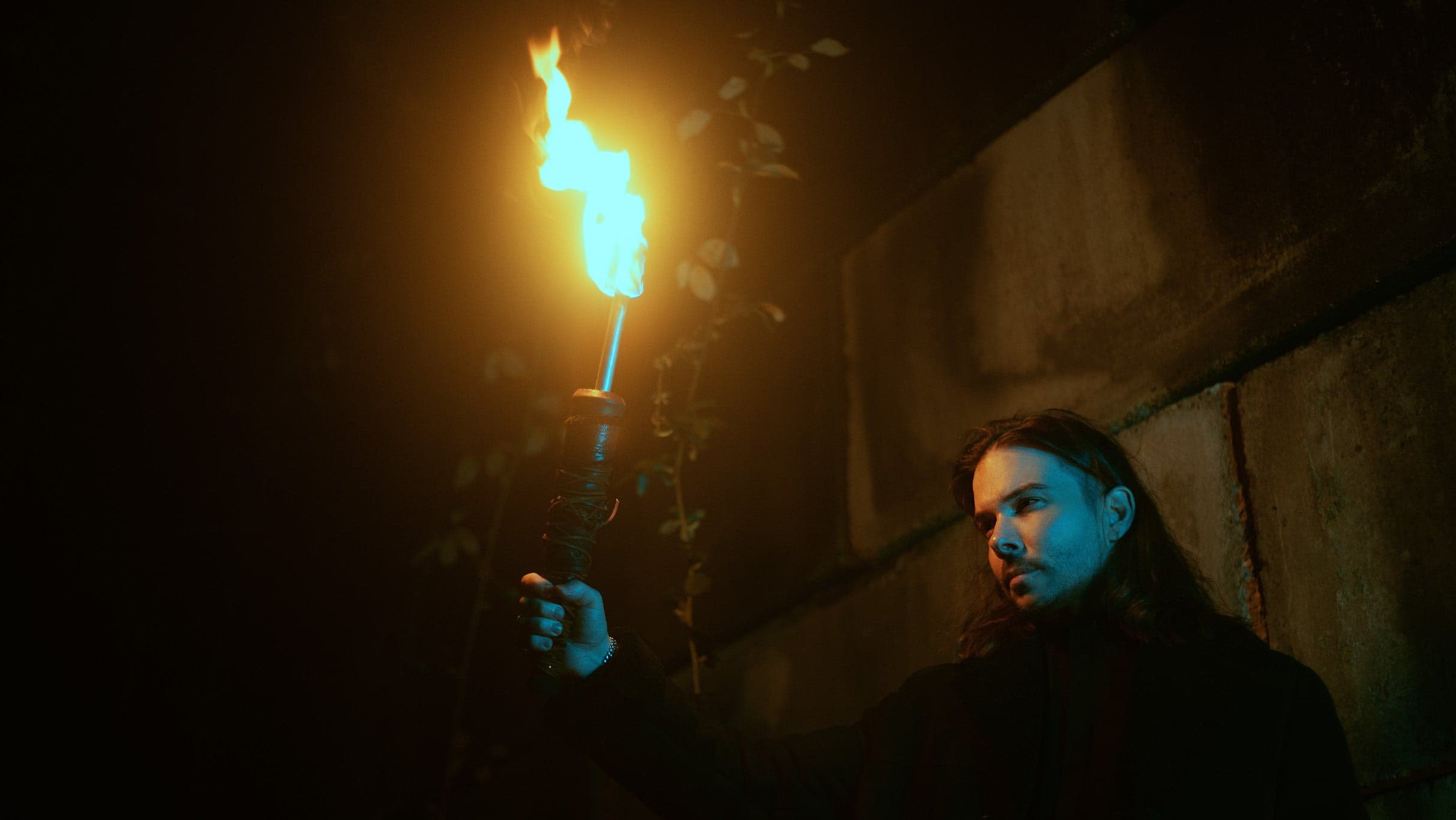 Seven Lions