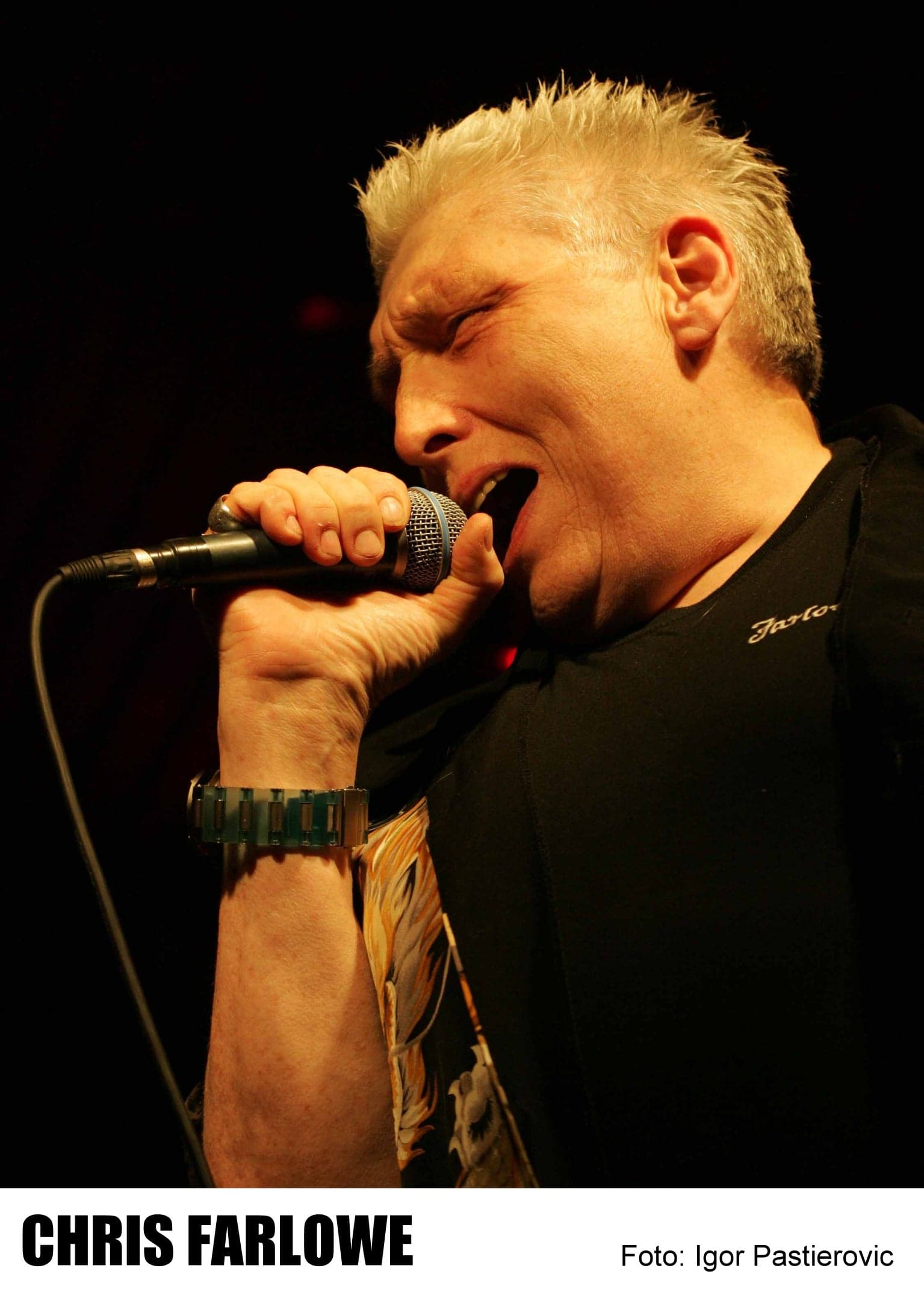 Blues Festival